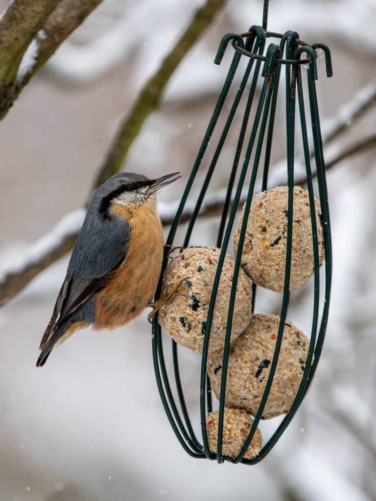 © Manuela Mörzinger